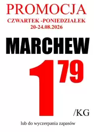 Wizan gazetka tydzień 34 Strona 3