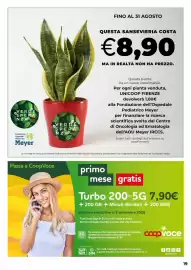 Volantino In Coop Pagina 19: Sansevieria €8,90