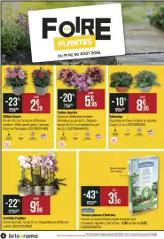 Catalogue Bricorama page 6: JARDIBEST Terreau plantes d'intérieur €3,50, Orchidée Papillon €9,99