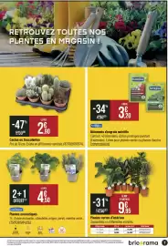 Catalogue Bricorama page 7: Fertiligene Bâtonnets d'engrais nutritifs €3,20, Cactus ou Succulentes €2,90