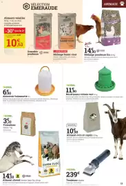 Catalogue Espace emeraude page 13: KERBL Abreuvoir baïonnette €6,50, KERBL Nourrisseur trémie vert €11,90