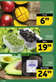 Løvbjerg tilbudsavis uge 34 Side 14: Røde el. grønne stenfri druer €19,99, Mango €6,99