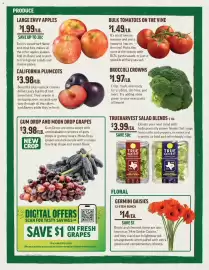 Central Market weekly ad week 34 Page 2: Bulk Tomatoes On The Vine €1,49, True Harvest salad blends €3,99