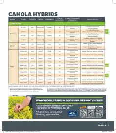 Co-op flyer Page 3