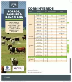 Co-op flyer Page 4