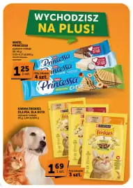 Groszek gazetka | Supermarket Strona 16