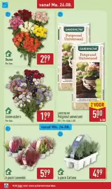 ALDI folder week 35 Pagina 46