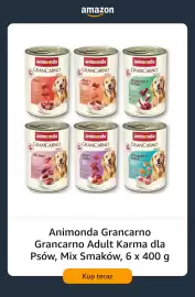 Amazon gazetka tydzień 34 Strona 13