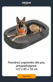 Amazon gazetka tydzień 34 Strona 3