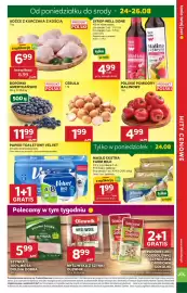 Stokrotka Market gazetka tydzień 34 Strona 5: Borówki Amerykańskie €11,99, CEBULA €1,99