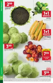 Stokrotka Market gazetka tydzień 34 Strona 6