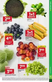 Stokrotka gazetka tydzień 34 Strona 11