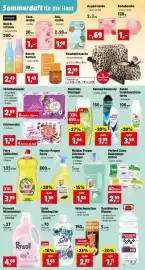 Thomas Philipps Prospekt woche 35 Seite 8: Sofin Weichspüler €1,66, Meister Proper Allzweck-reiniger €1,88
