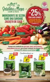 Catalog Mega Image săptămâna 34 Pagină 9: Kamis cimbru €3,82, Kamis foi de dafin €4,24