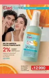 Folleto Gigot Página 39