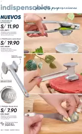 Catálogo Azzorti Página 246