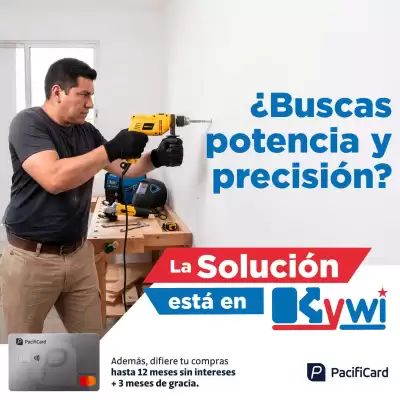 Kywi (válido hasta 25-08)