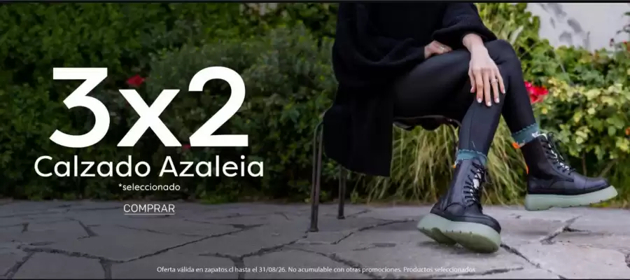 Zapatos.cl (válido hasta 2-09)
