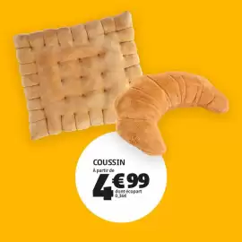 Catalogue GiFi semaine 34 page 4: Coussin €4,99