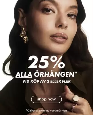 Glitter (giltig till och med 25-08)