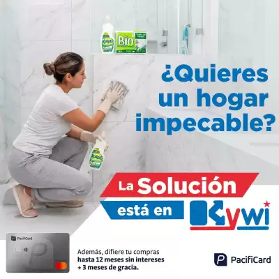 Kywi (válido hasta 25-08)