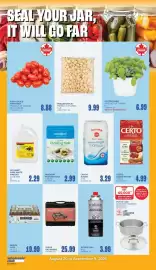 Wholesale Club flyer Page 13