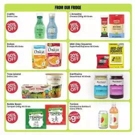 Healthy Planet flyer Page 11