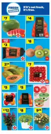 Real Canadian Superstore flyer week 34 Page 15