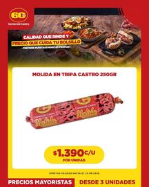 Catálogo Comercial Castro Página 6