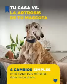 Catálogo Puppis Página 1