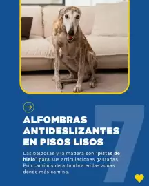 Catálogo Puppis Página 2