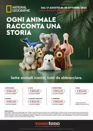 Volantino Rossotono Carrefour Pagina 24
