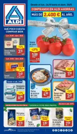Folleto ALDI semana 35 Página 1