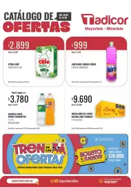 Catálogo Supermercados Tadicor semana 34 Página 1: Sprite/schweppes gaseosa fanta €3.780,00, Héroe limpiador líquido €999,00