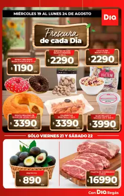 DIA (válido hasta 24-08)