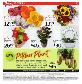 Loblaws flyer week 34 Page 9: Nepenthes €45,00, PickOntario oranges & limes bouquet €26,99