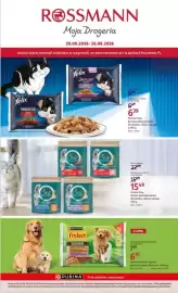 Rossmann gazetka tydzień 34 Strona 8: Purina Felix, karma pełnoporcjowa dla kotów, różne rodzaje €6,39