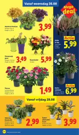 Lidl folder week 35 Pagina 20