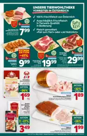 Billa Flugblatt woche 34 Seite 9
