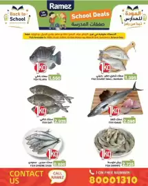 Ramez catalogue Page 6