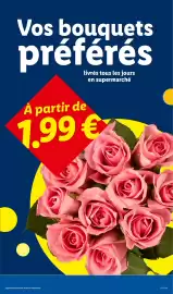 Catalogue Lidl semaine 35 page 27