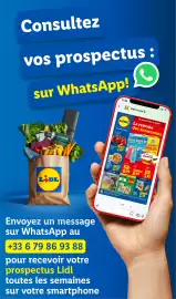 Catalogue Lidl semaine 35 page 60