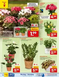 Netto Marken-Discount Prospekt woche 35 Seite 14