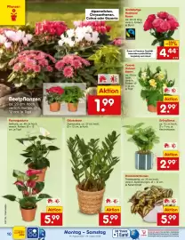 Netto Marken-Discount Prospekt woche 35 Seite 14