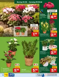 Netto Marken-Discount Prospekt woche 35 Seite 14