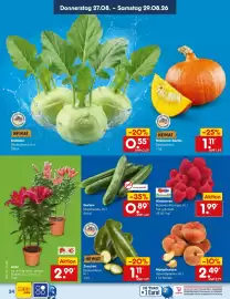 Netto Marken-Discount Prospekt woche 35 Seite 48