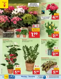 Netto Marken-Discount Prospekt woche 35 Seite 14