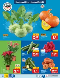 Netto Marken-Discount Prospekt woche 35 Seite 48