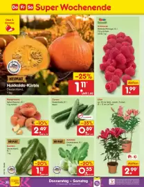 Netto Marken-Discount Prospekt woche 35 Seite 44