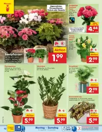 Netto Marken-Discount Prospekt woche 35 Seite 14